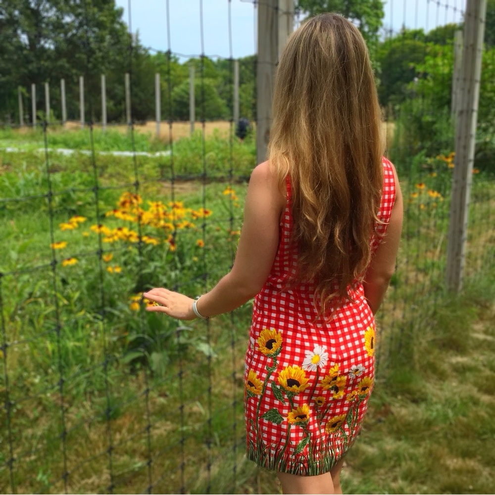 Vintage Red Gingham Sleeveless Sunflower and Daisy Knee Length Dress